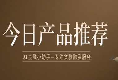 知识产权质押贷款